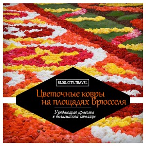 Кодшеринговые рейсы что это. carpets. Кодшеринговые рейсы что это фото. Кодшеринговые рейсы что это-carpets. картинка Кодшеринговые рейсы что это. картинка carpets. Соглашение о совместном использовании кодов (больше известное как код-шеринг или code-sharing) – это договоры в авиационном бизнесе, в котором две или более авиакомпании выполняют один и тот же рейс.