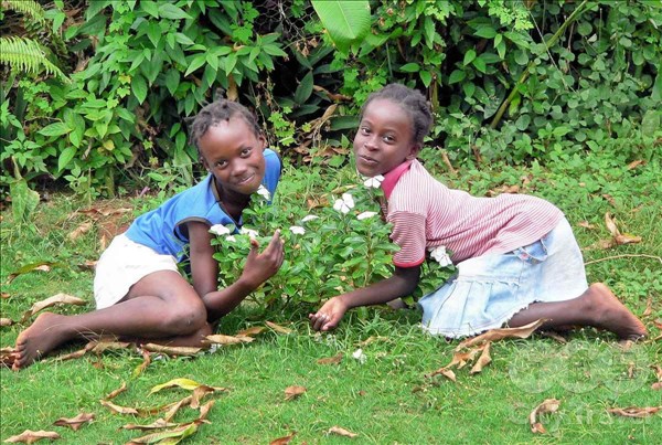 10 интересных фактов о Ямайке