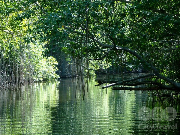 10 интересных фактов о Ямайке
