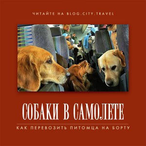 зачем в самолете пепельница в туалете. Смотреть фото зачем в самолете пепельница в туалете. Смотреть картинку зачем в самолете пепельница в туалете. Картинка про зачем в самолете пепельница в туалете. Фото зачем в самолете пепельница в туалете