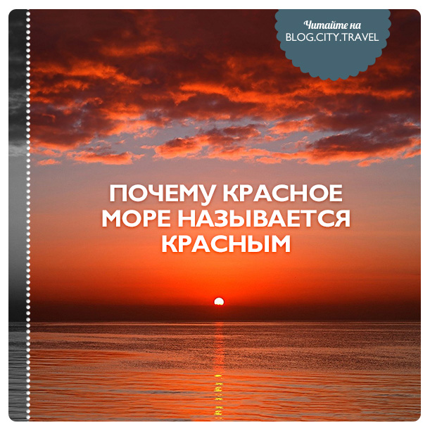 Реферат: Красное море