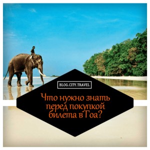 Что нужно знать перед покупкой билета в Гоа
