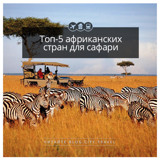 лучшие страны для сафари. Смотреть фото лучшие страны для сафари. Смотреть картинку лучшие страны для сафари. Картинка про лучшие страны для сафари. Фото лучшие страны для сафари