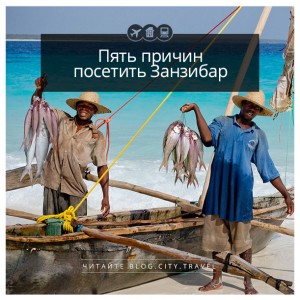 5 причин посетить Занзибар